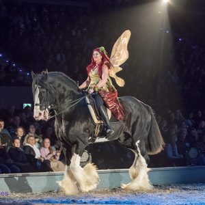 Apassionata in Ahoy