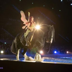 Apassionata in Ahoy