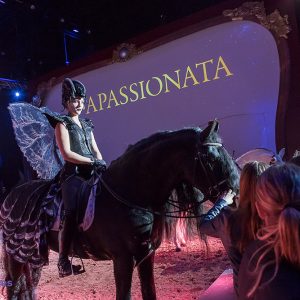 Apassionata in Ahoy